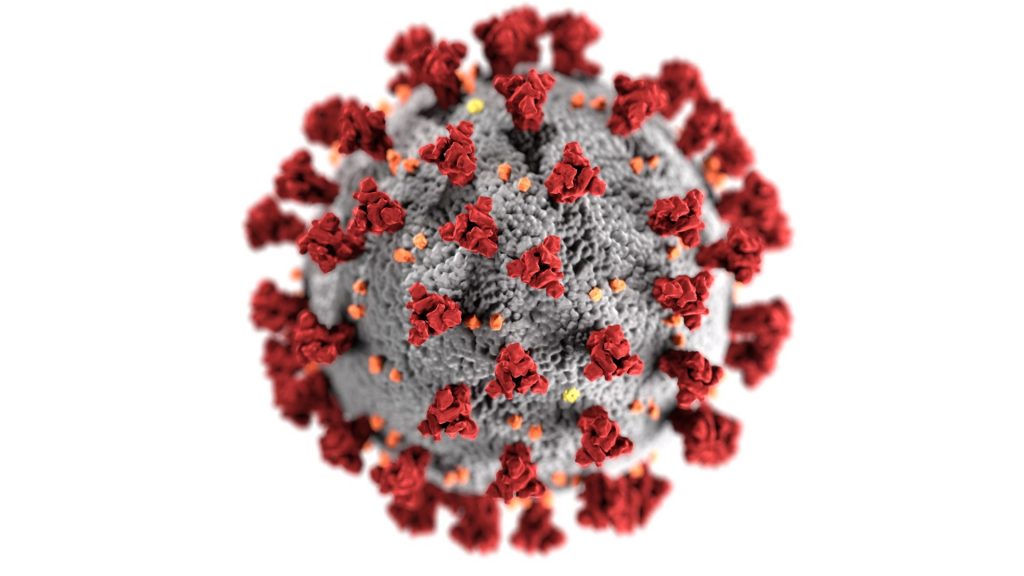 Coronavirus visualization